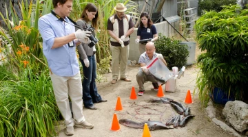 Кадры Декстер 6 сезон 4 эпизод