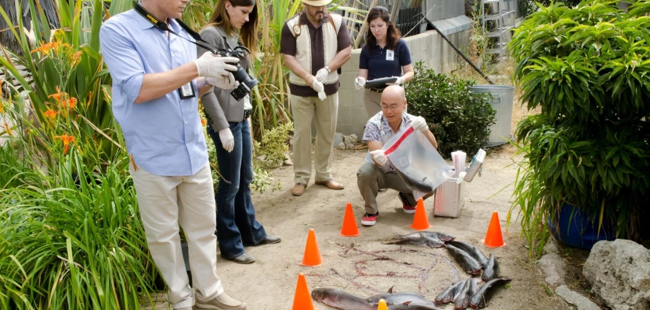 Кадры Декстер 6 сезон 4 эпизод