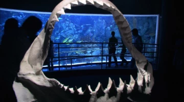 Кадры Декстер 2 сезон 12 эпизод