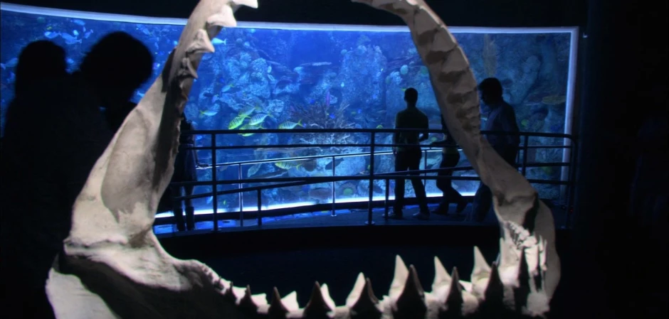 Кадры Декстер 2 сезон 12 эпизод